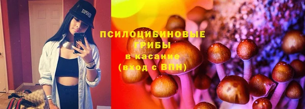 гашик Осинники
