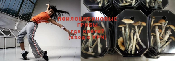 гашик Осинники