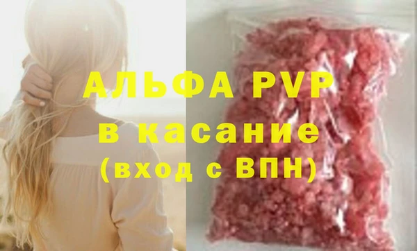 гашик Осинники
