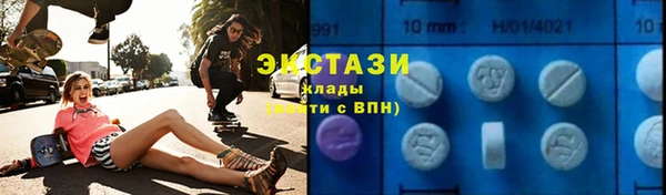 гашик Осинники