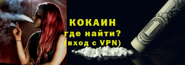 гашик Осинники