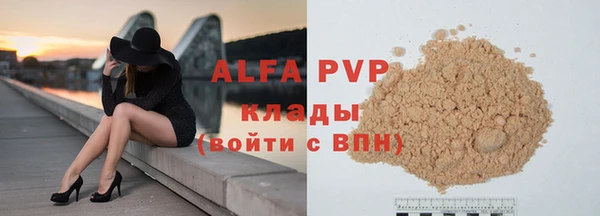 гашик Осинники
