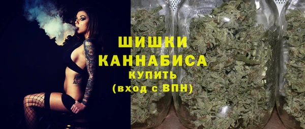 гашик Осинники