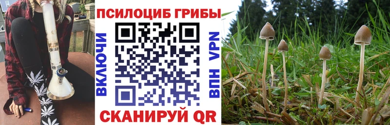Галлюциногенные грибы MAGIC MUSHROOMS  Юрьев-Польский 